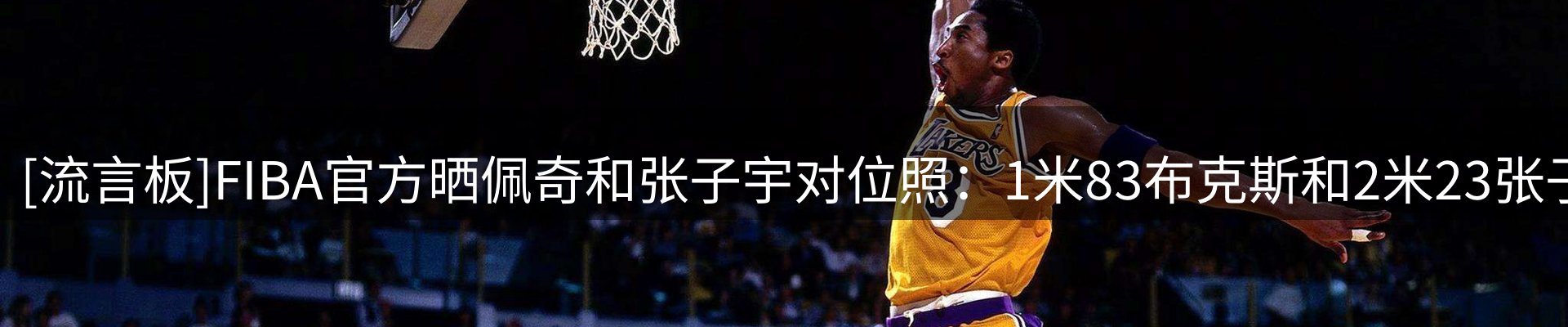 资讯汇集